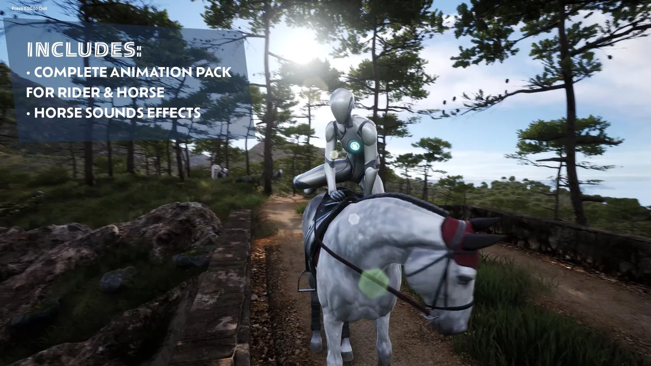 Complete Horse Riding System — preview 3