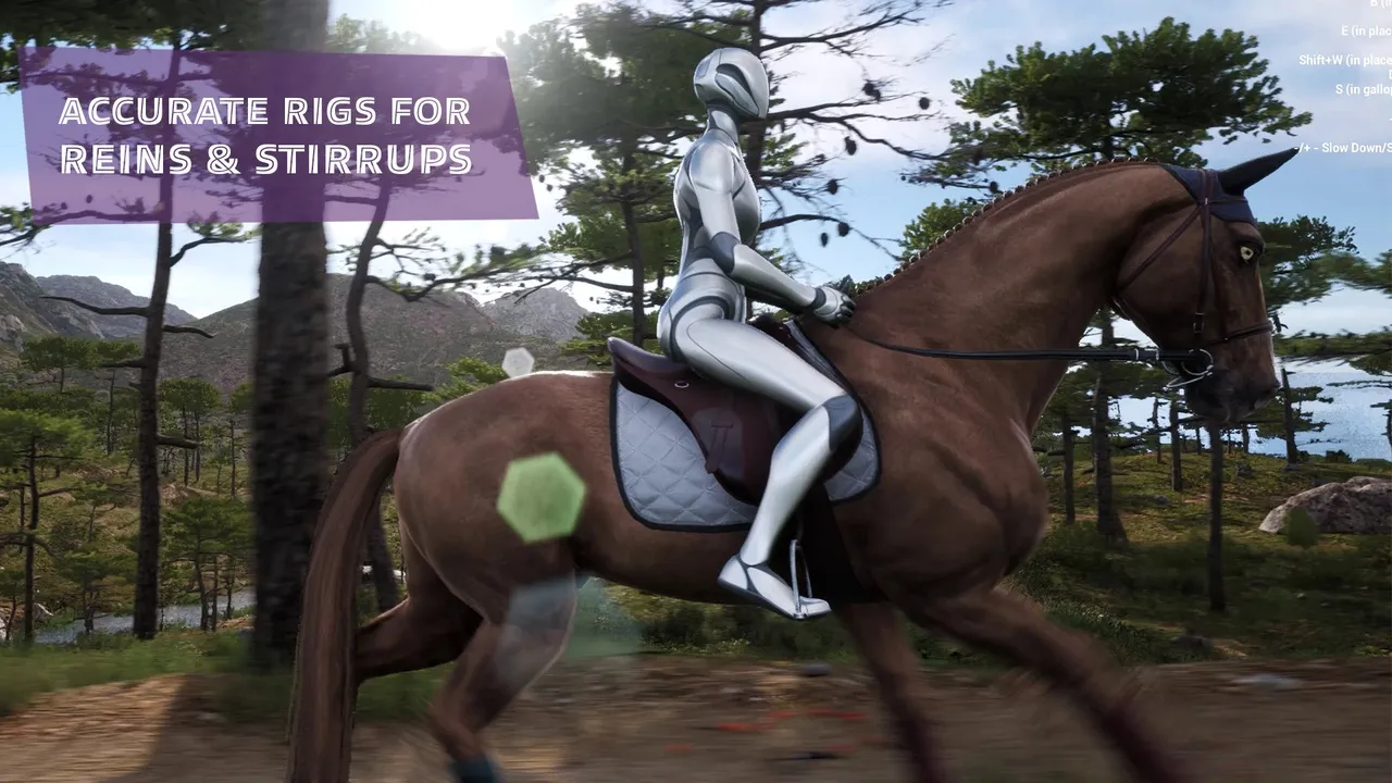 Complete Horse Riding System — preview 6