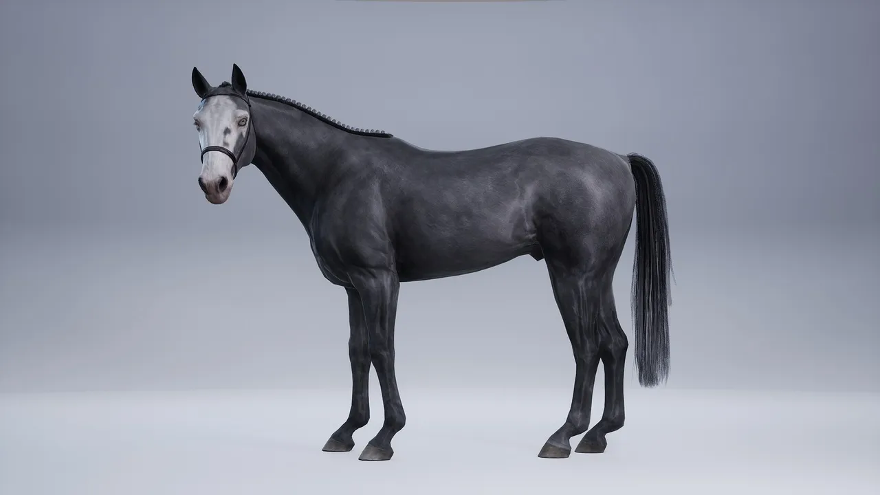 Horse Champion Jumper — preview 16