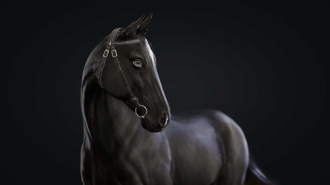 Horse Herd — preview 14
