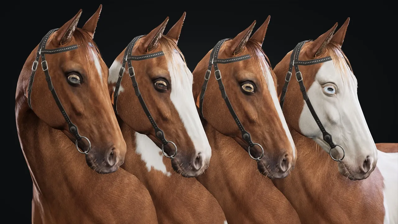 Horse Herd — preview 8