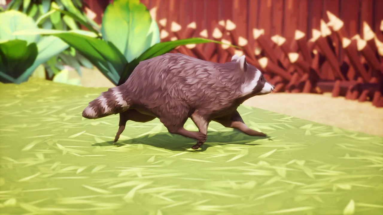 Natural raccoon trotting in profile across green grass past a red wooden fence and broad stylized leaves