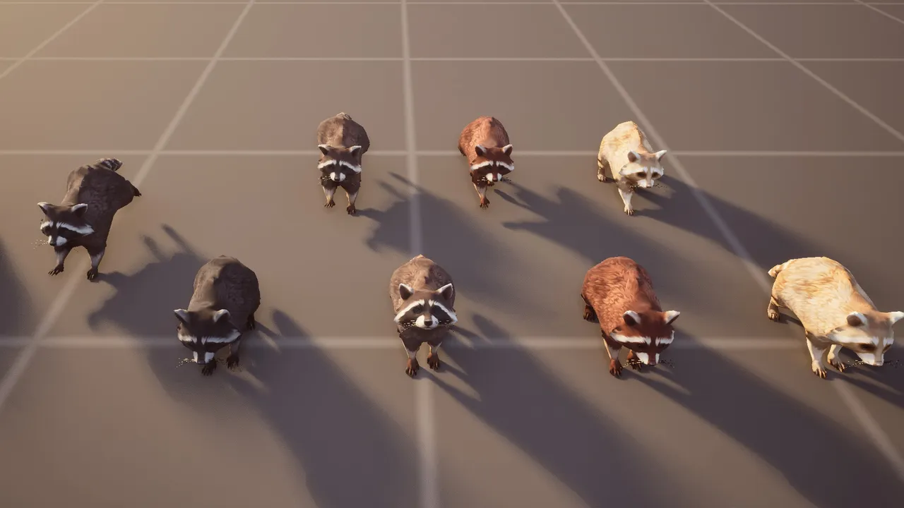 Top-down Unreal Engine grid view of nine raccoons in five fur colours arranged in two rows, each casting a long shadow