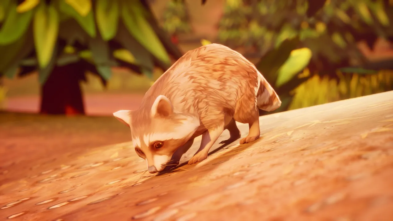 Blond raccoon nose-down sniffing a sunlit path in a warm orange forest scene — the sniff idle variation